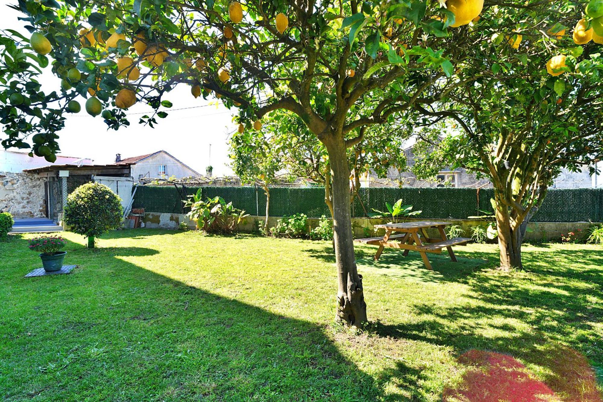 Casa Con Jardin En Vilanova De Arousa Pontevedra Esterno foto